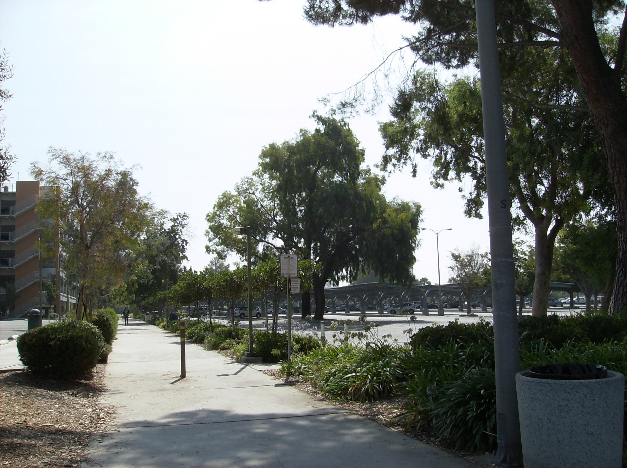 Going green- CSUN's Campus sustainability - solar panels on the parking lot